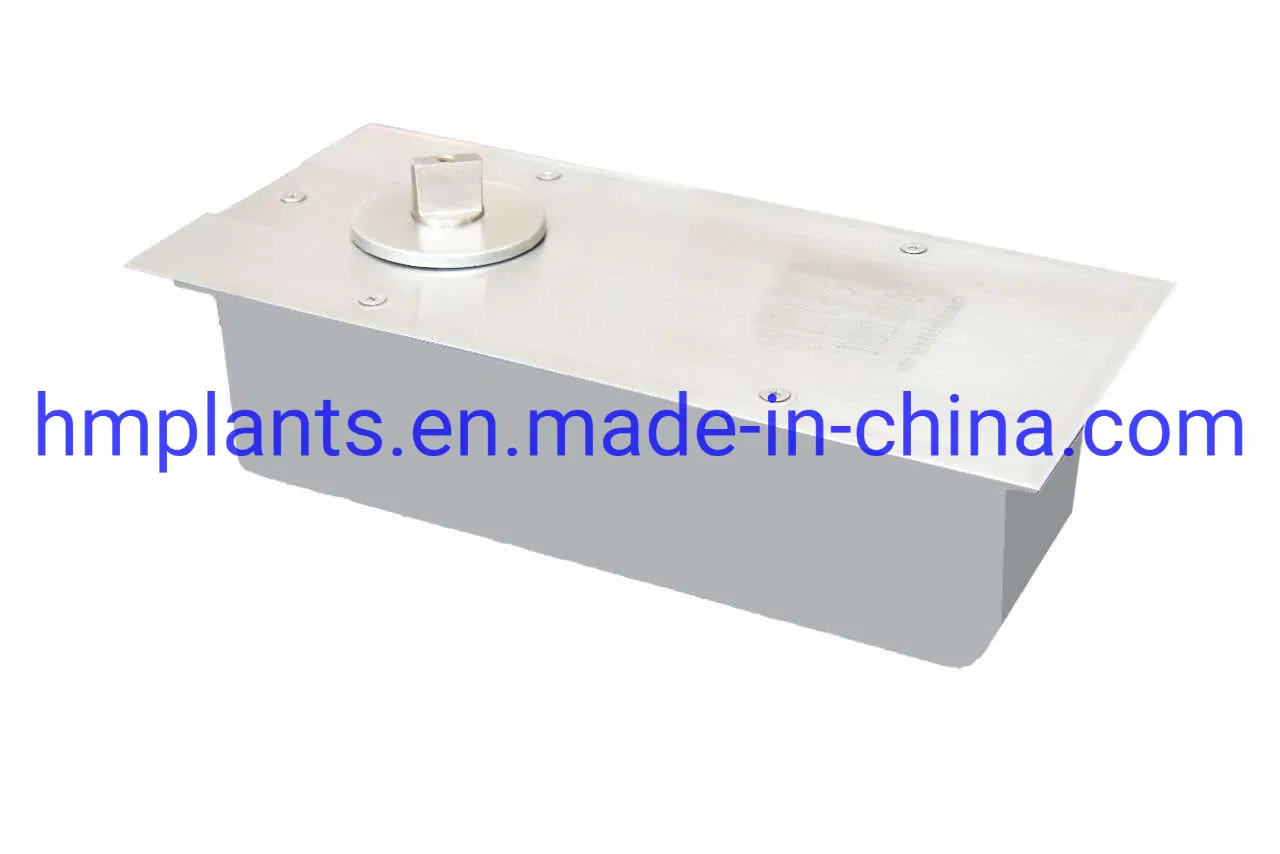 Commercial Shop Entry Door Electric Floor Spring Door Colser Max. Capacity 150kgs