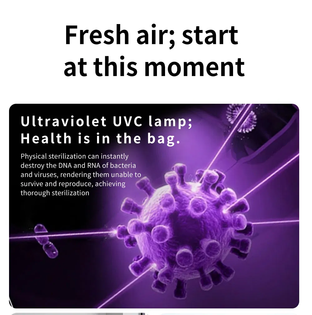 Smart Air Carb Freshener Integrated with Air Cleaner and Ionic Air Purifier