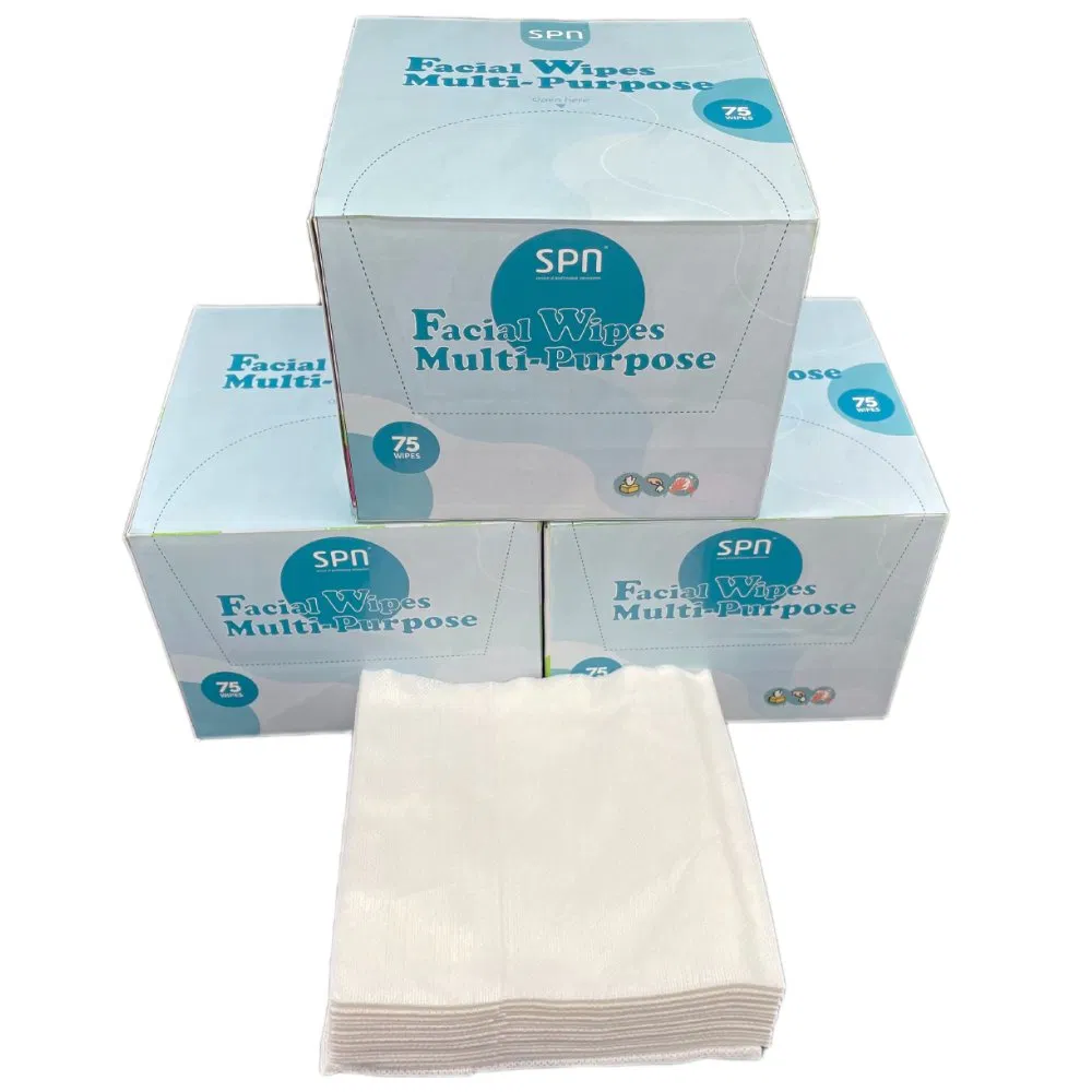 OEM Soft Pack China OEM Cleaning Disposable Towel Commercial Use Feminine Tissue Nonwoven Hand Face Wipe in China Makeup Remover Wet Wipe