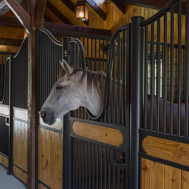 Horse Box Wash Barn Stall Steel Panel Custom Outdoor Horse Stable