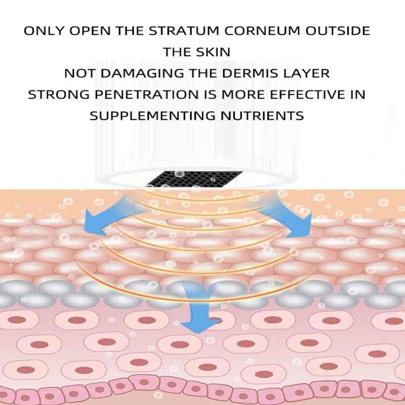 Hot Skin Care Products Natural Skin Care Exsome Face Serum Centella Anti Agin Serum, Microneedle Serum to Repair Skin Barrier