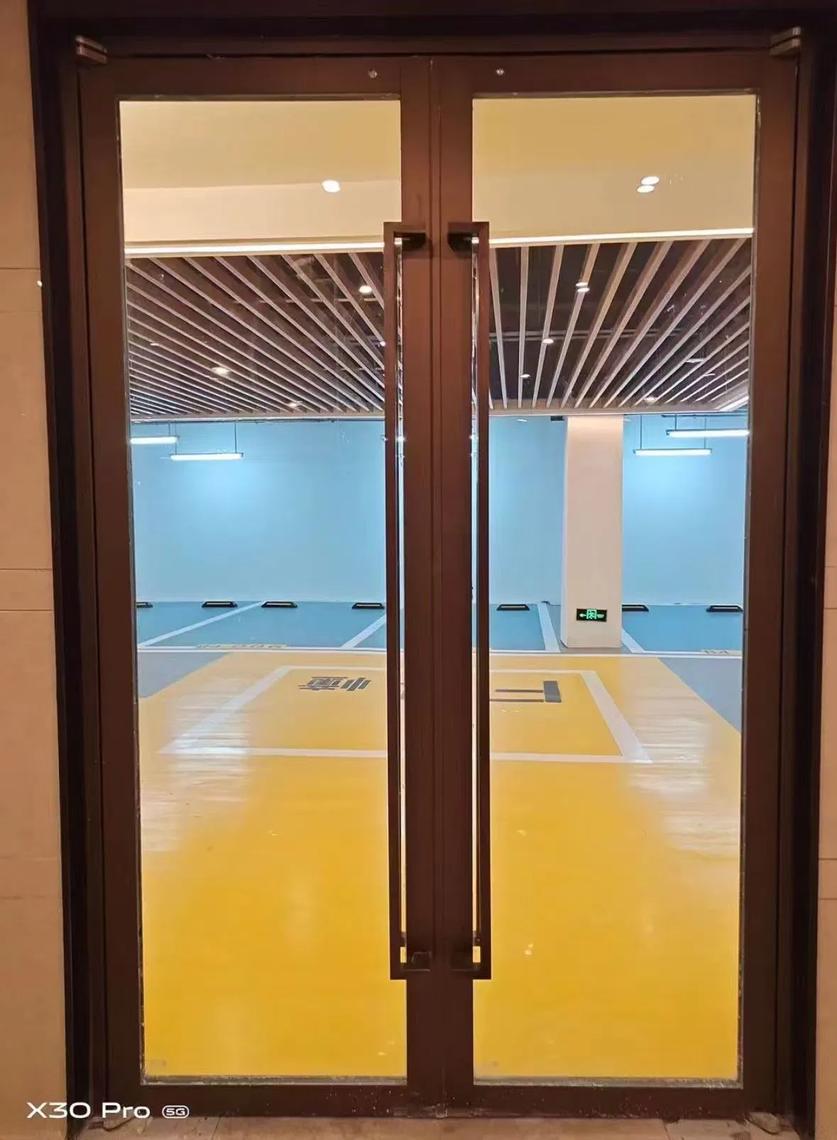 Modern Elegant Insulated Glass Door with Stainless Frame