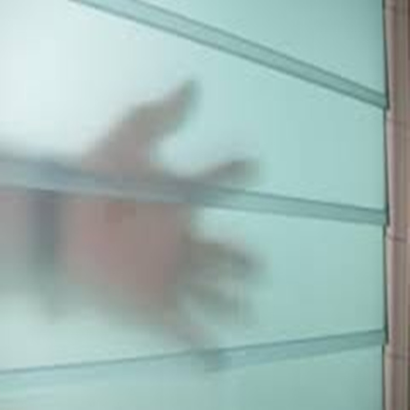 4mm 5mm 6mm Acid Etched Frosted Louver Glass