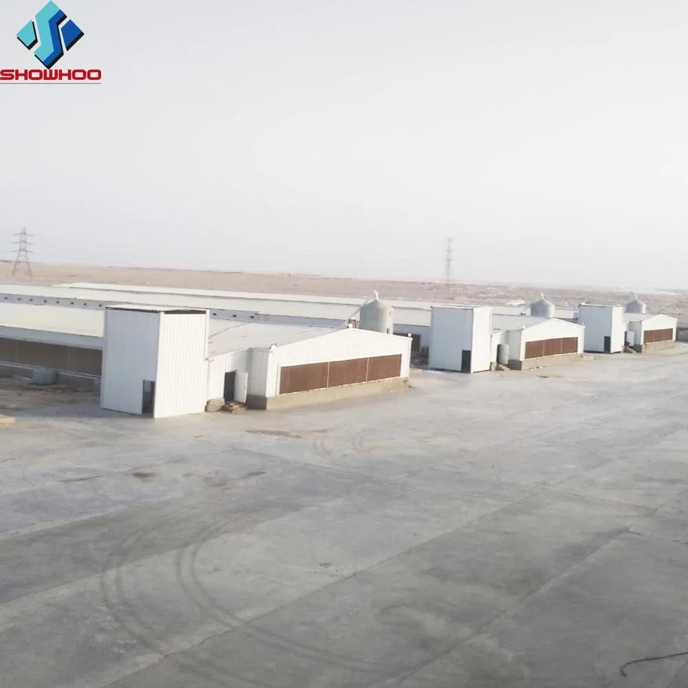 Professional Cheap Layer House Farm/Broiler Chicken House with Equipment Supplier in China Listed Company