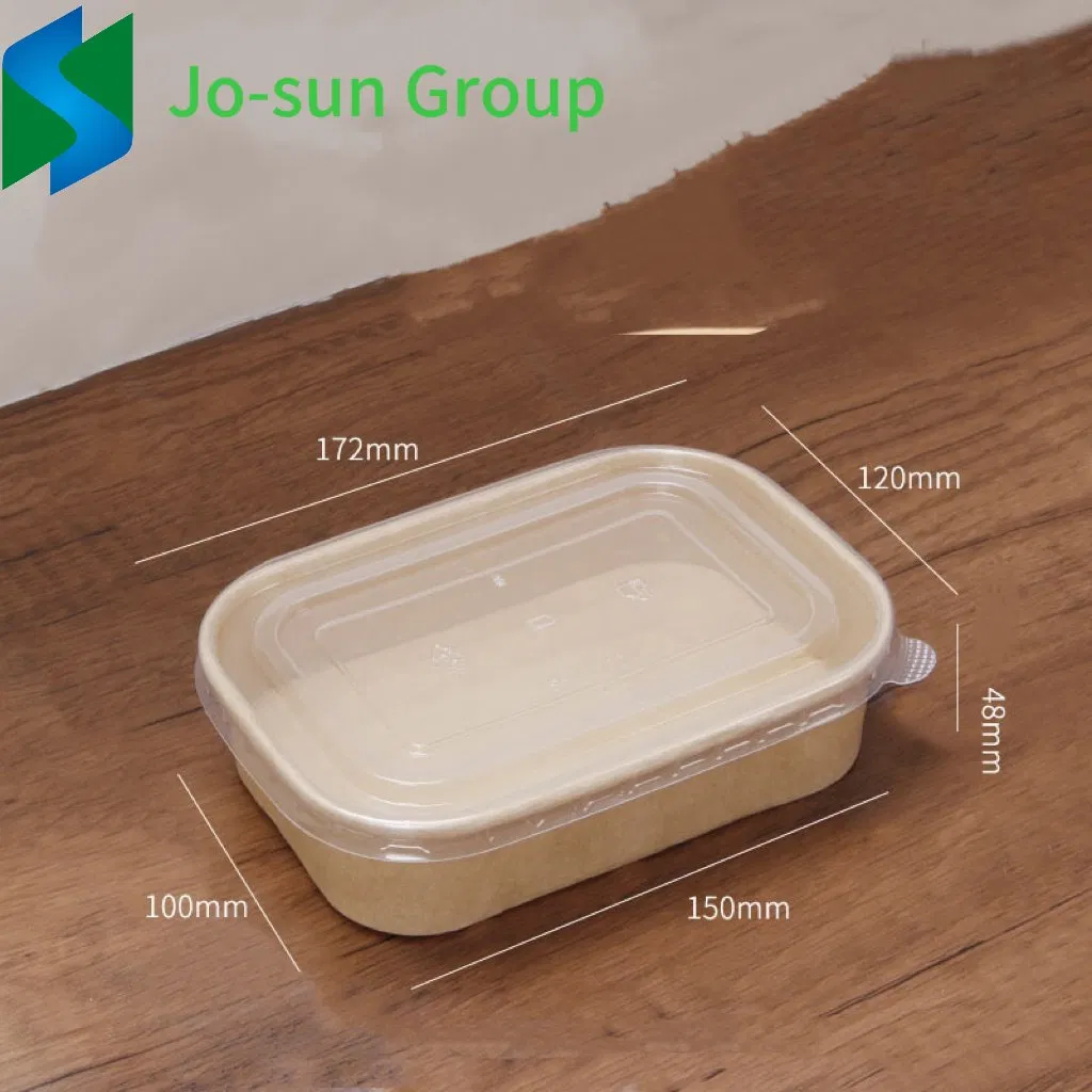 Jo-Sun Hot Sale Take Away Rectangle Container Square Salad Snack Box Bowl