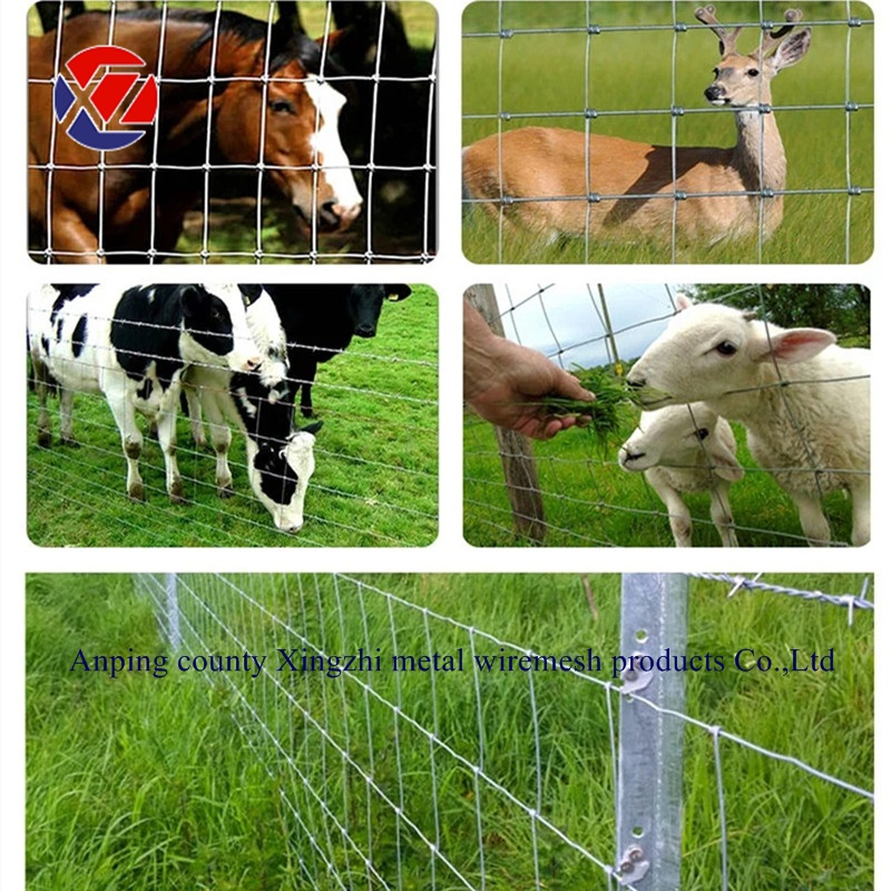 Plain Wire Fencing for Farm Filed/Sheep/Goat/Deer