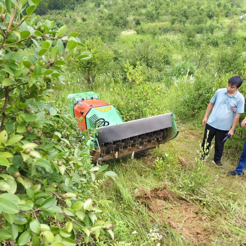 for Small Tree Thinning & Land Reclamation Diesel-Powered Lawn Mower Robot with Rubber Tracks