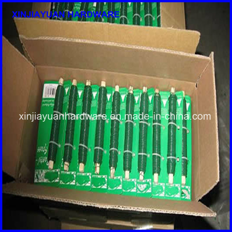 Hot Sale Galvanized Small Coil Wire for Garden Binding