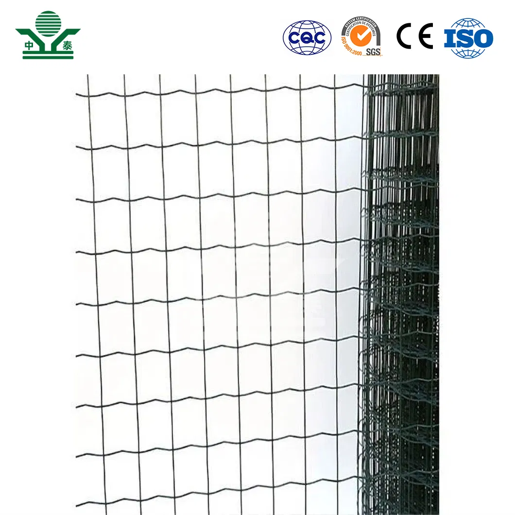 Zhongtai Dutch Welded Wire Mesh Fence China Manufacturers Holland Wire Mesh 1.6 - 2.5mm Wire Thickness Dutch Welded Wire Fencing