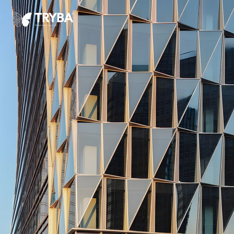 Double Panels Glass Architectural Designs Built Curtain Wall