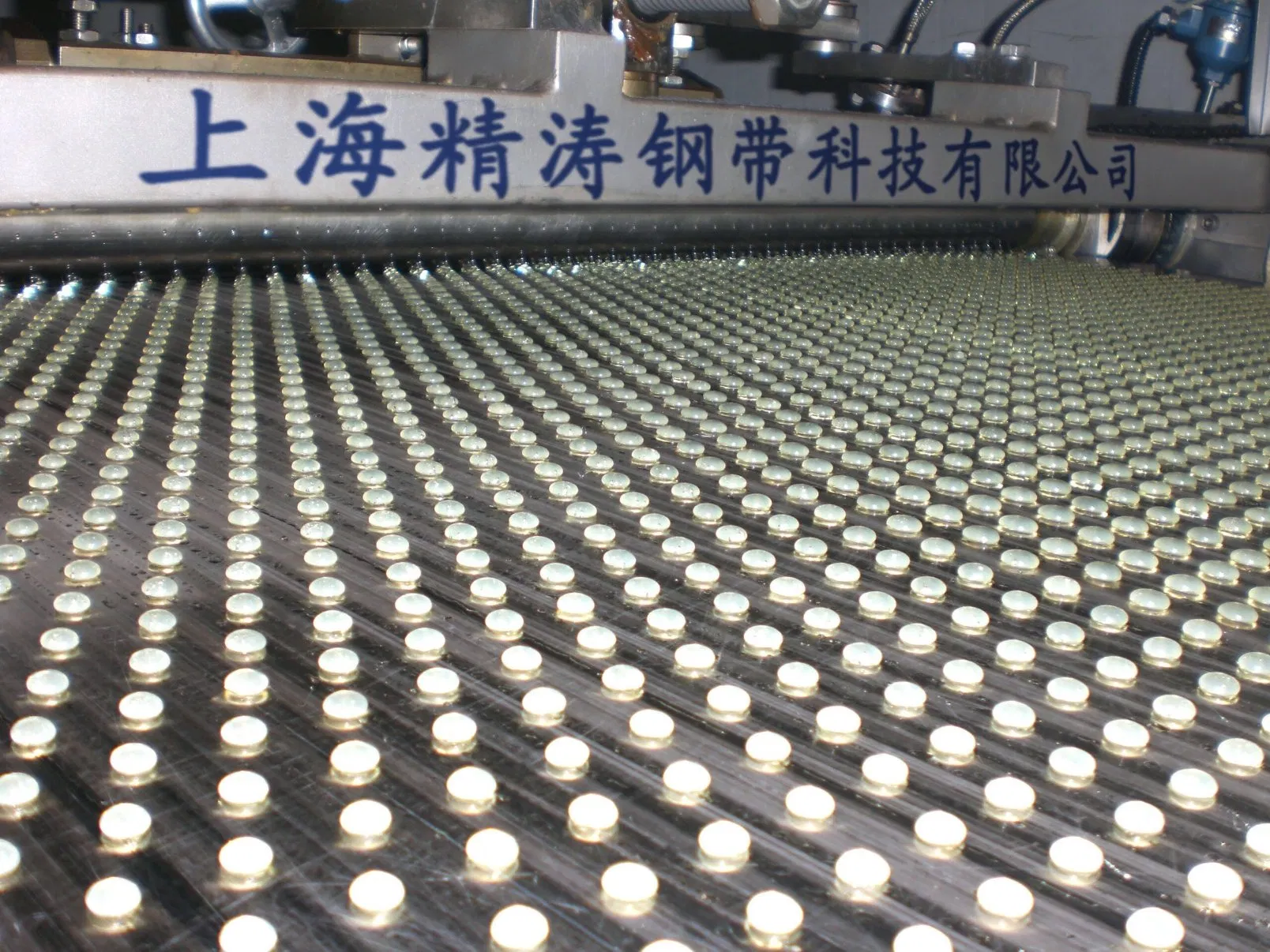 Leading Manufacturer in China for Customized Rotoform Pastillator