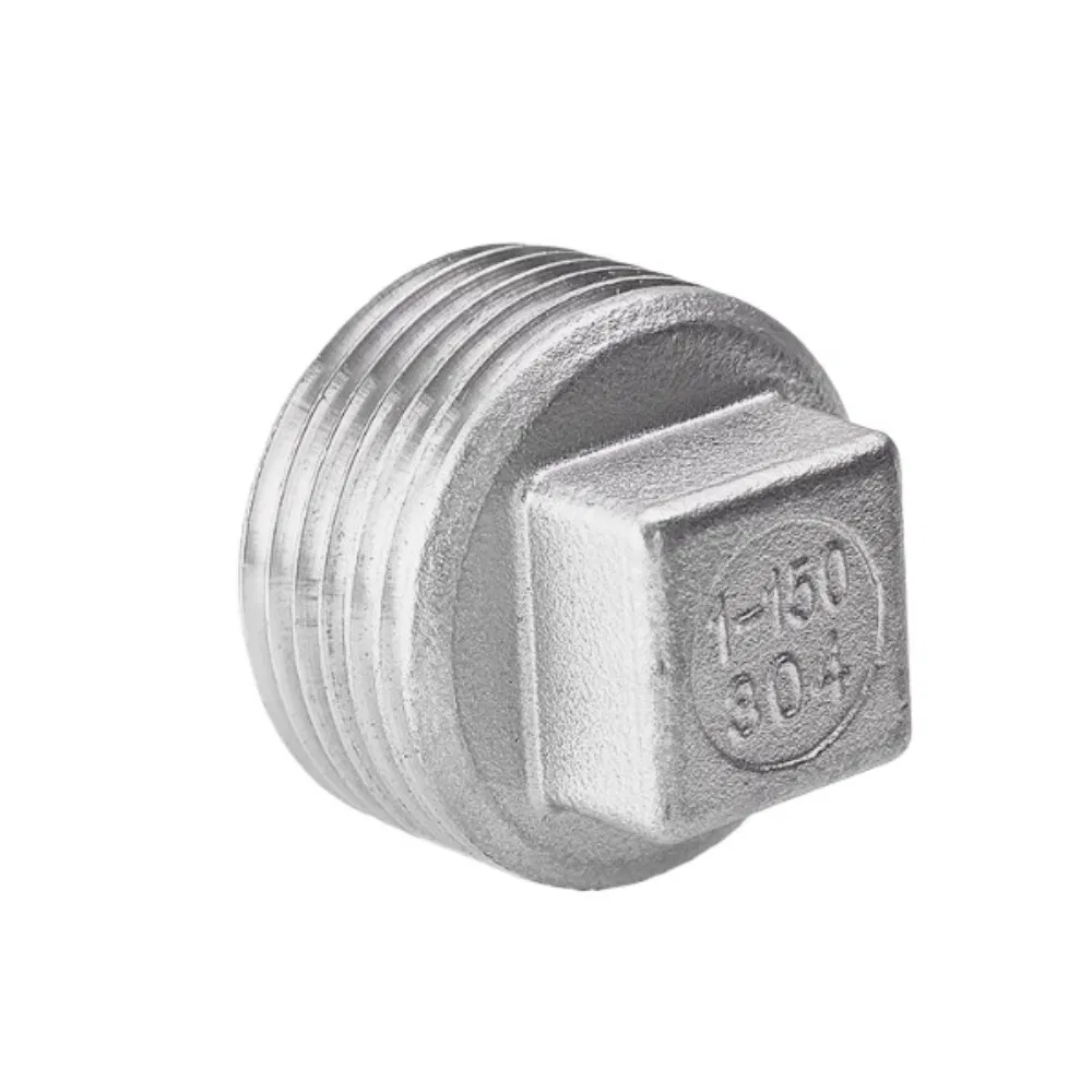 Stainless Steel 304 Cast Pipe Fitting, Square Head Cored Plug
