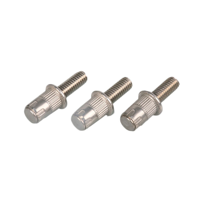 Customized Non-Standard High-Strength Expansion Bolts