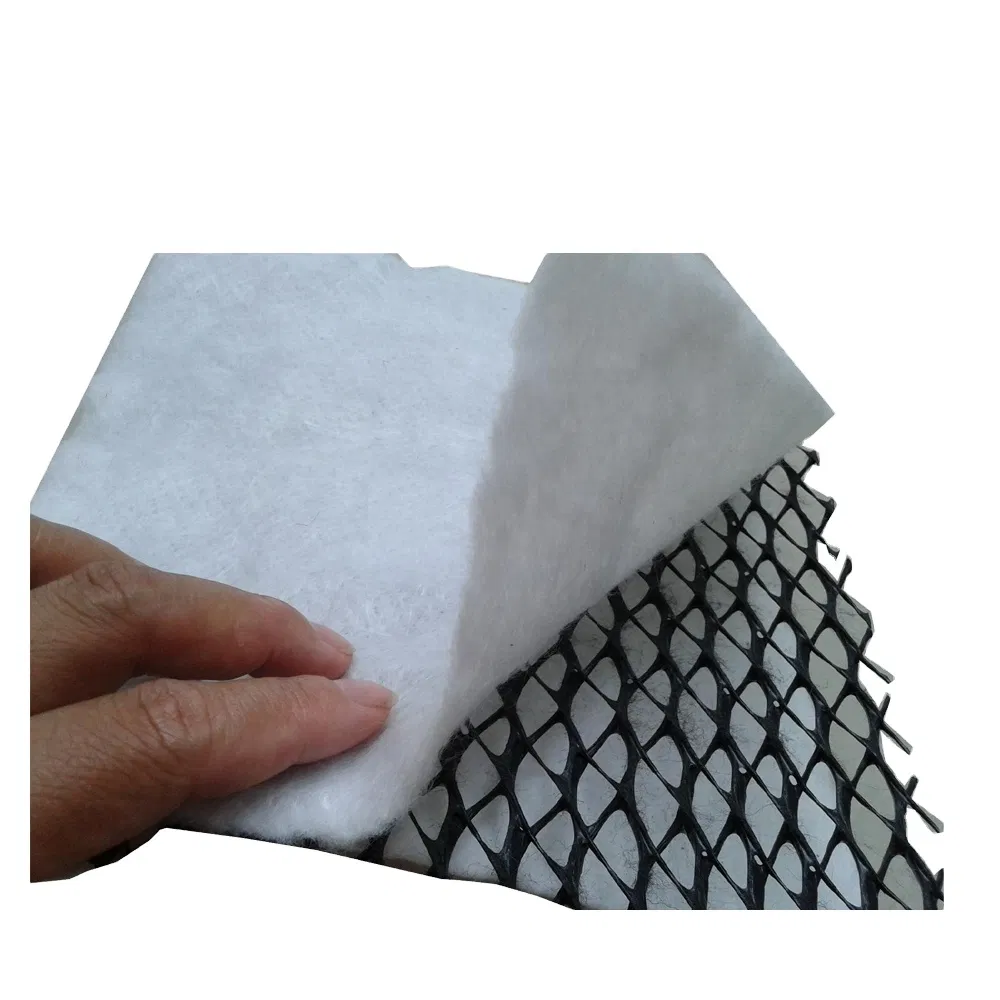 High Performance Geotextile Water Conservancy Project Woven Geogrid Building Material Composite Drainage Geonet