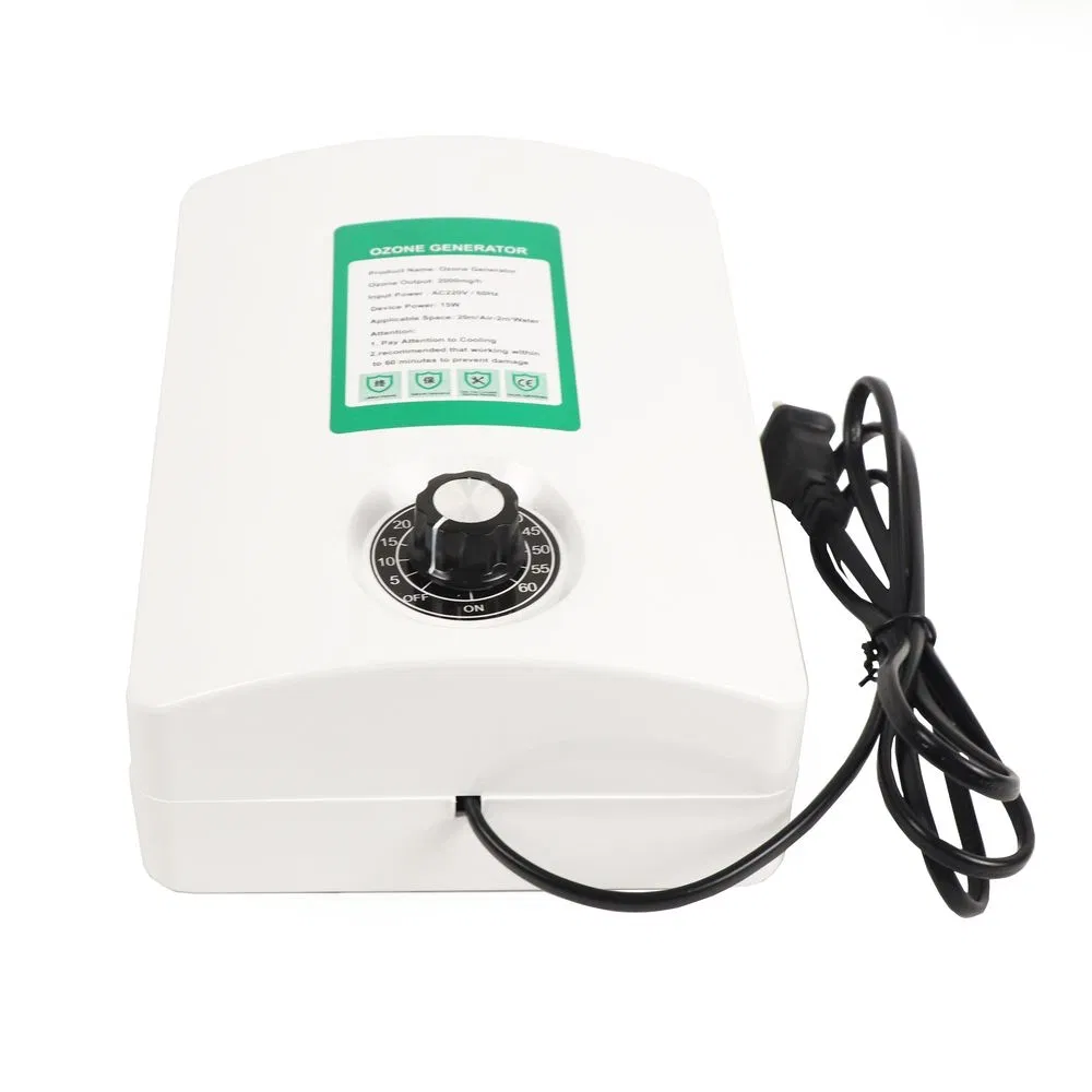 Wholesale 2000mg/H Mini Ozonator for Household Kitchen Washing Vegetable and Fruits
