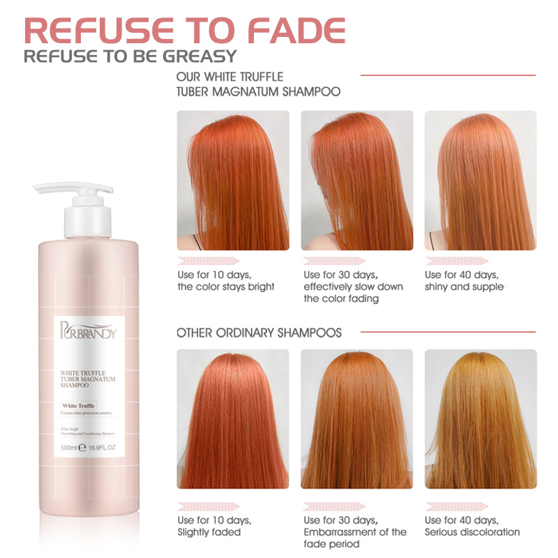 Wholesale Price Hydration Shampoo for Smooth Frizz-Control 500ml