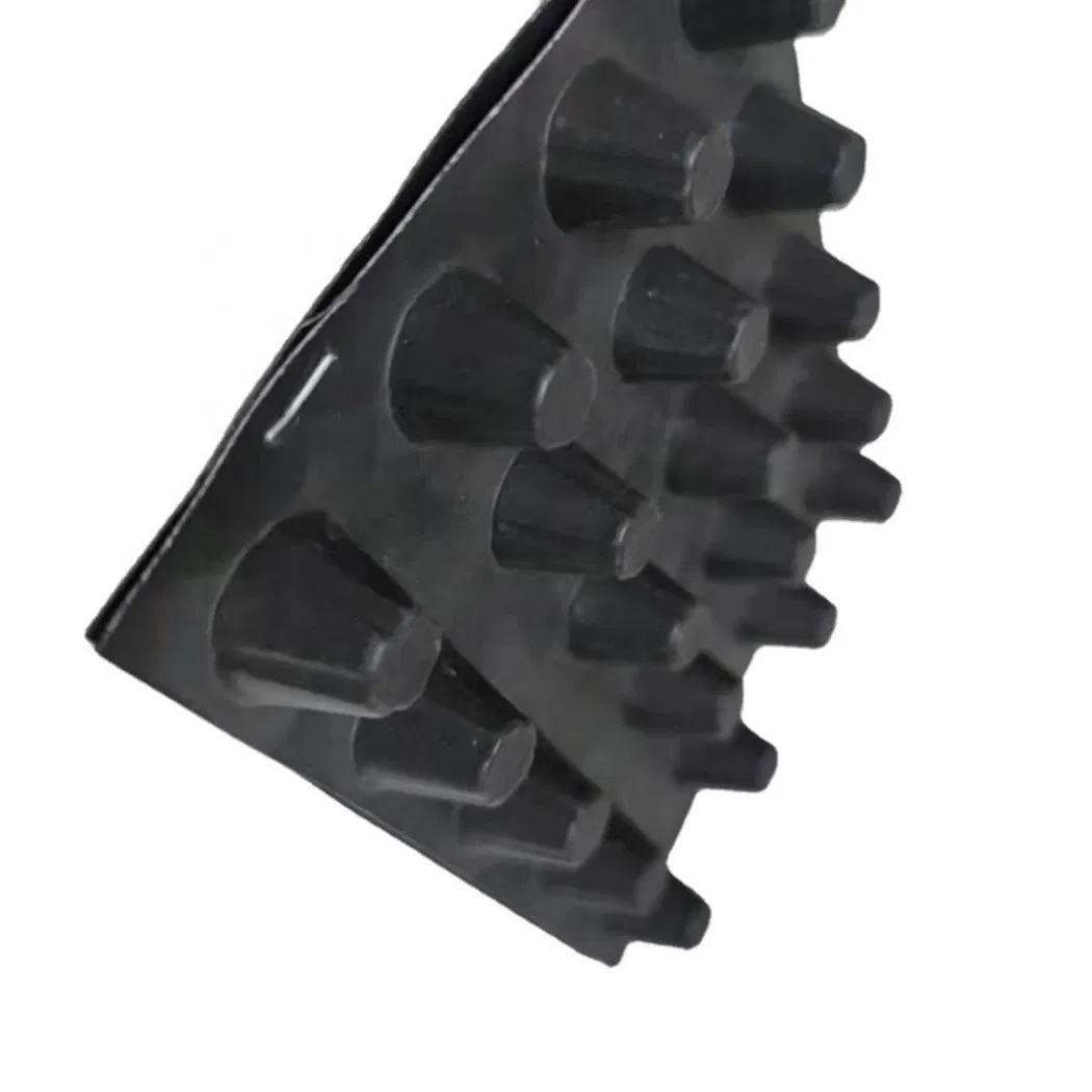 Eco-Friendly Construction Waterproof Dimple Membrane Drain Mat Plastic Sheet HDPE Drainage Board Cell with Cheap Price