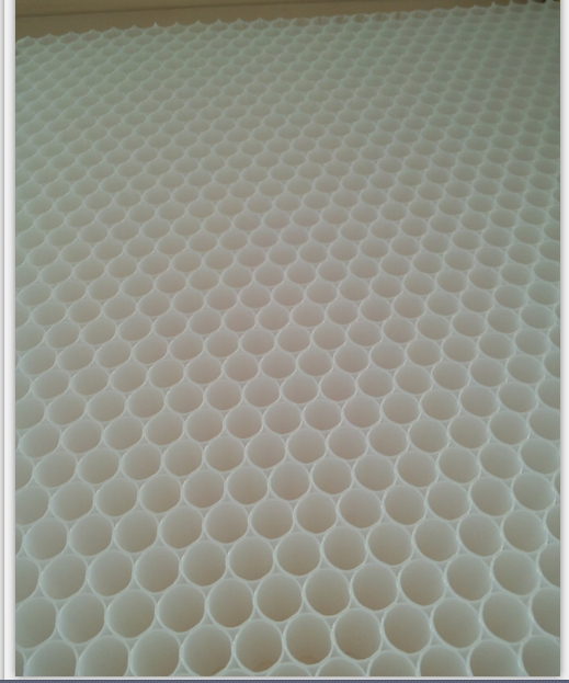 Premium 20-Year Warranty PP Honeycomb Panels for Modern Construction