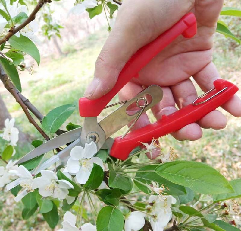 Pruning Shears Bonsai Agricultural Fruit Tree Cutting Scissor for Grape Apples Trimming