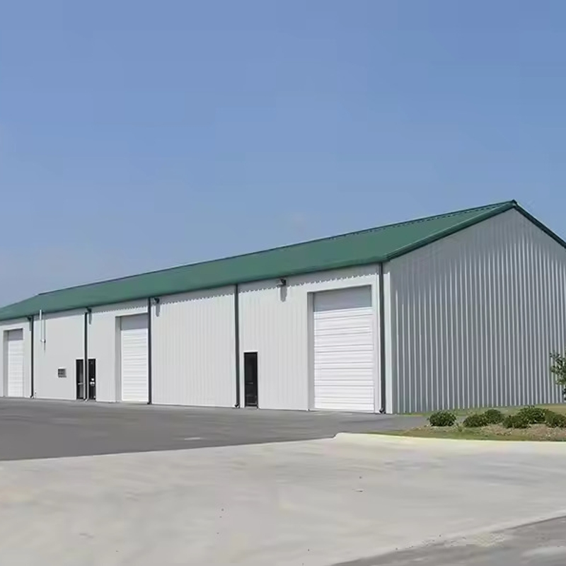 Hot Rolled Steel Structure Warehouse Prefabricated Steel Structure Workshop and Plant