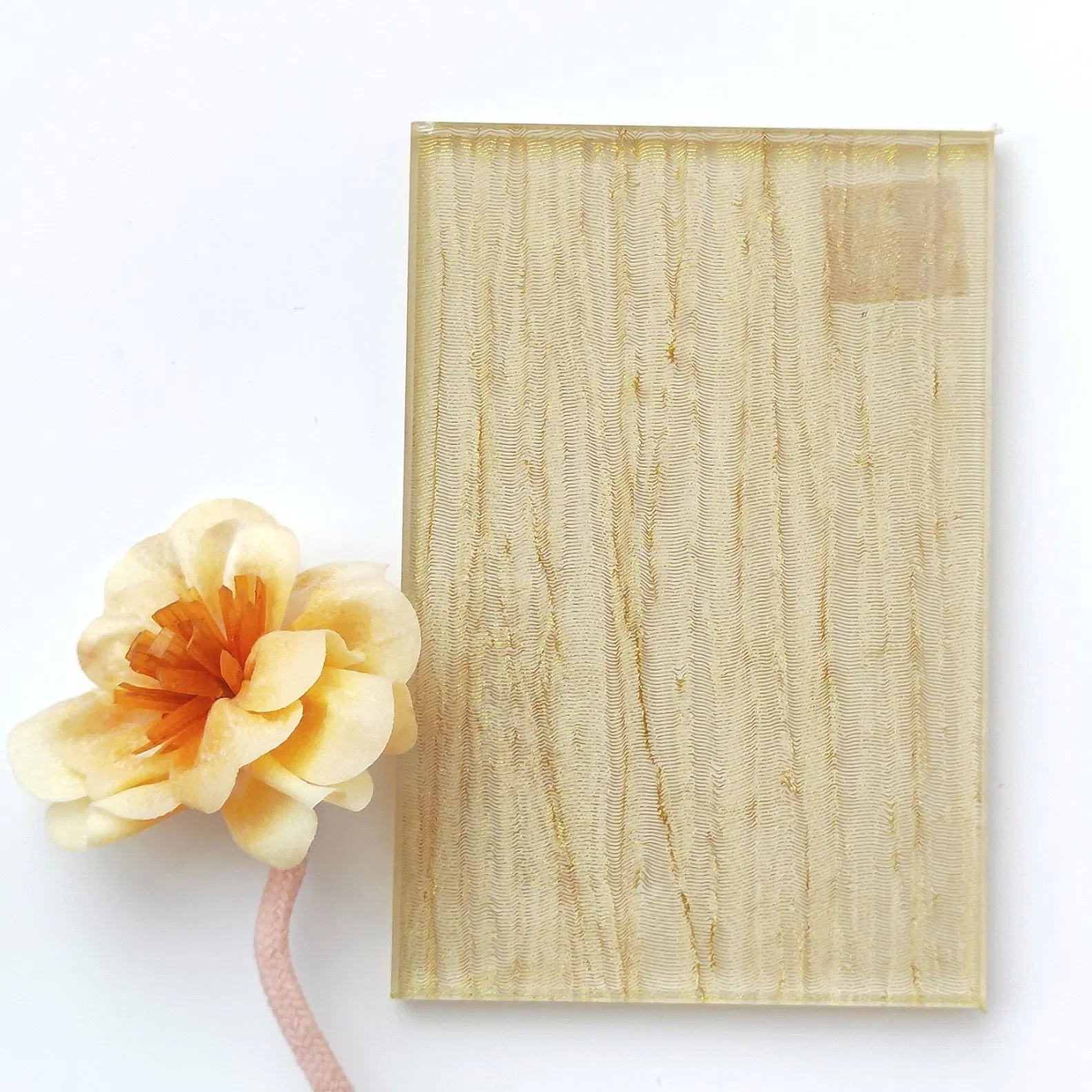 Fireproof High Quality Float Glass/Safety Wired Glass for Door/Window/Building