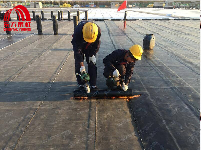 Sbs Modified Asphalt Waterproof Membrane of Yuhong