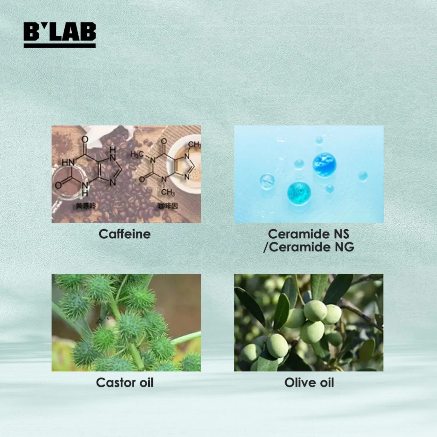 Private Label Natural Anti-Itching Head Scalp Care After Hair Transplant Repairing Cream