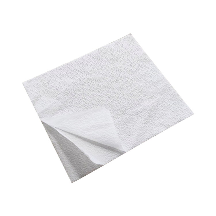 Tissue Paper Hand Towels for Dinner Paper Poly CSR Wrap 24X24" & Towels 17X19" for Trays