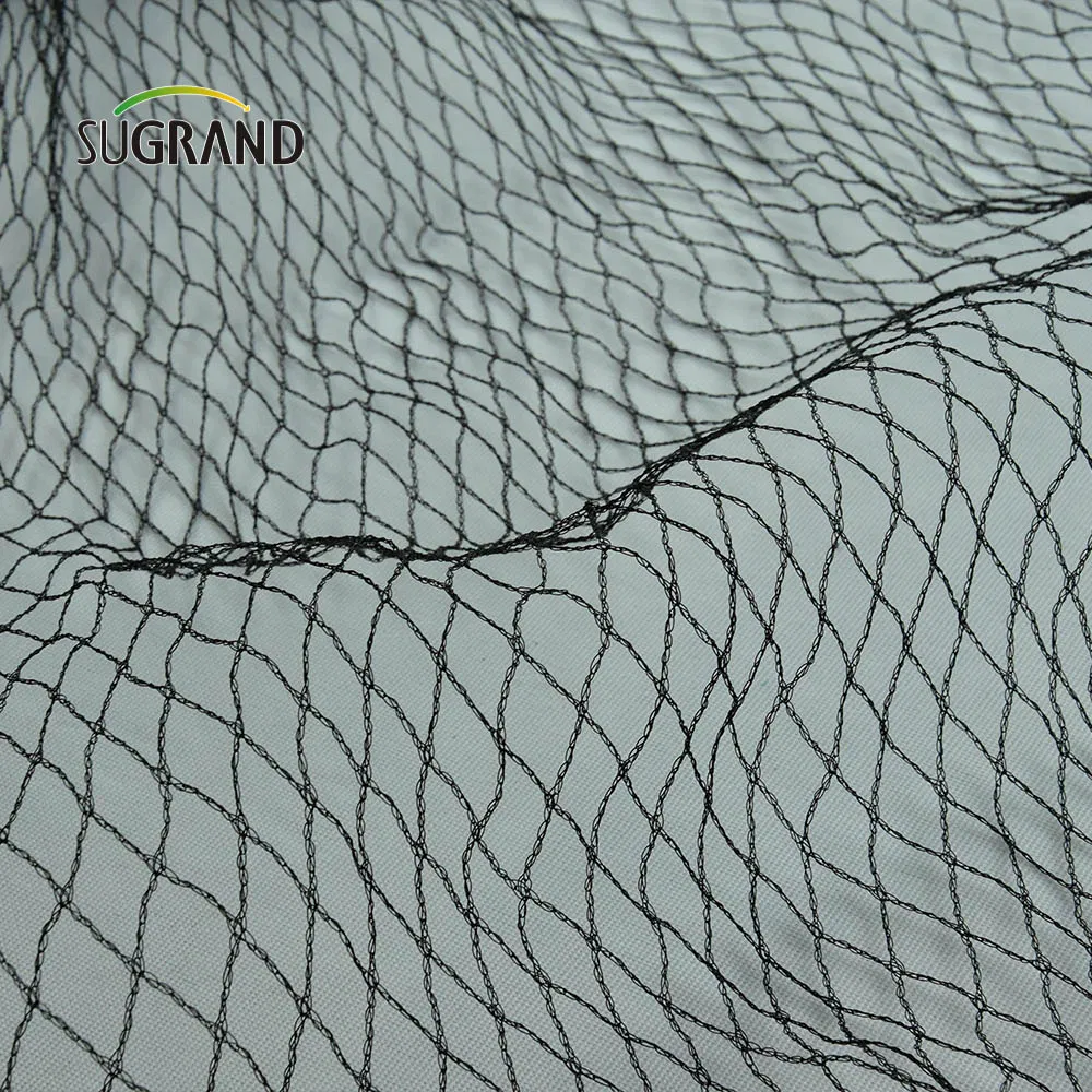 Sophisticated Technology Invisible Bird Netting Antibird Netting Anti Bird Net for Rice Field Anti Bird Net for Garden