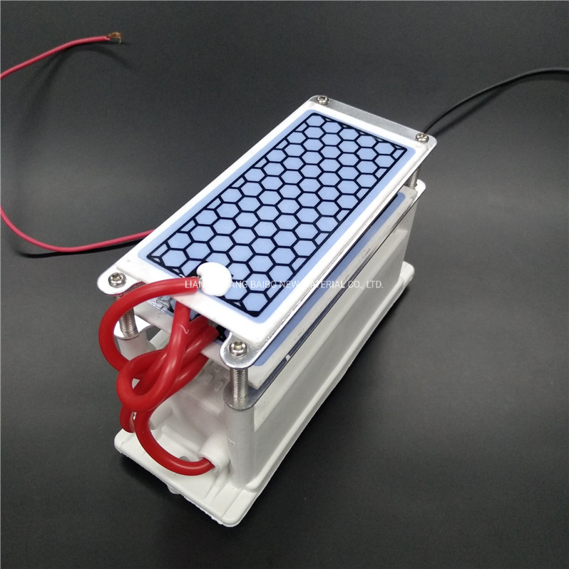 CE RoHS Air Ozonizer Ceramic Plate Ozone Generator Accessories Ozone Generator with Transformer