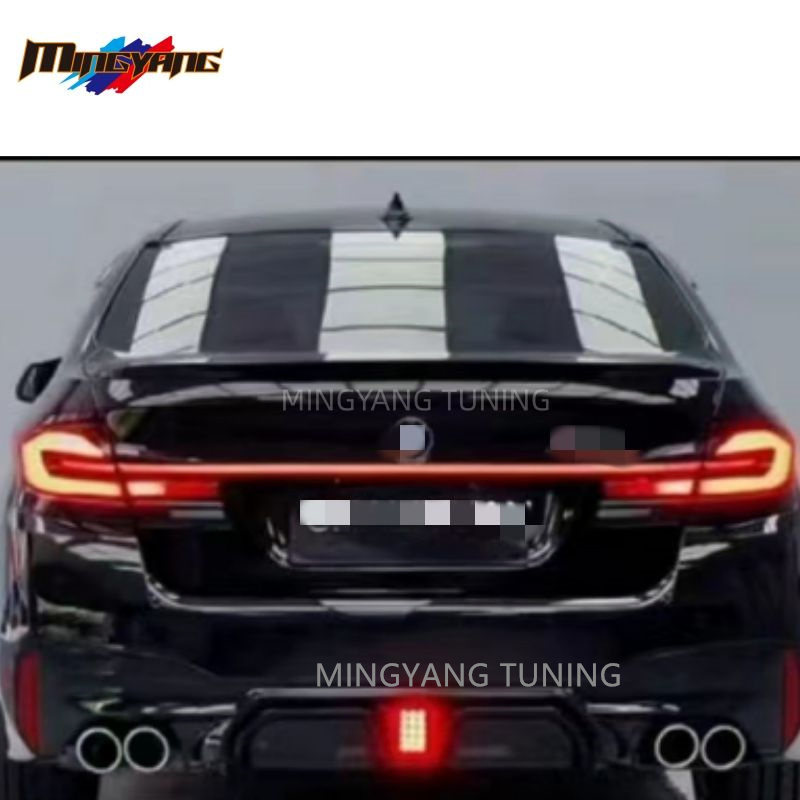 BMW F10 5 Series LED Intermediate Taillights (2011-2017)