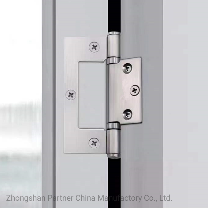 Stainless Steel Door Accessories Flush Hinge