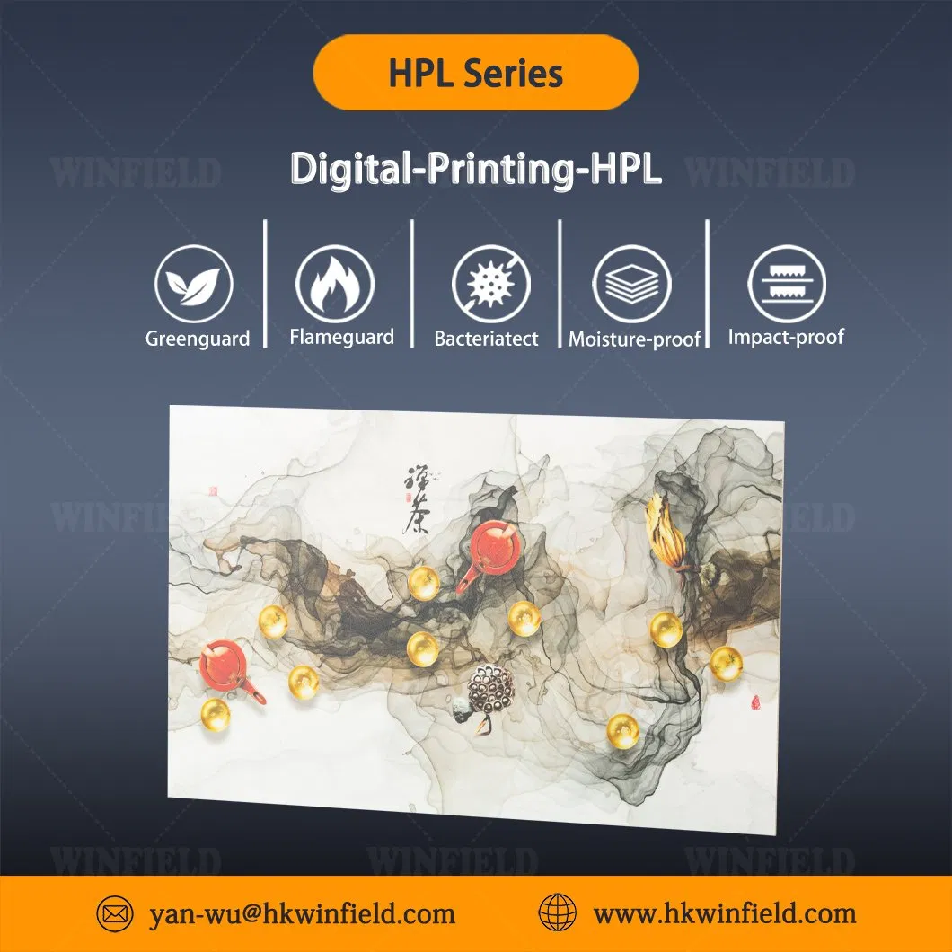 DIY Color Fireproof Customize Digital Printing HPL Panel HPL Laminate Sheet