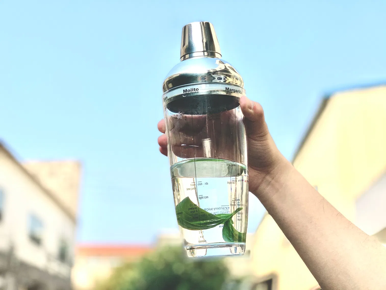 20 Oz Creative Colourless Wine/ Cocktail Bartender Glass Shaker Set