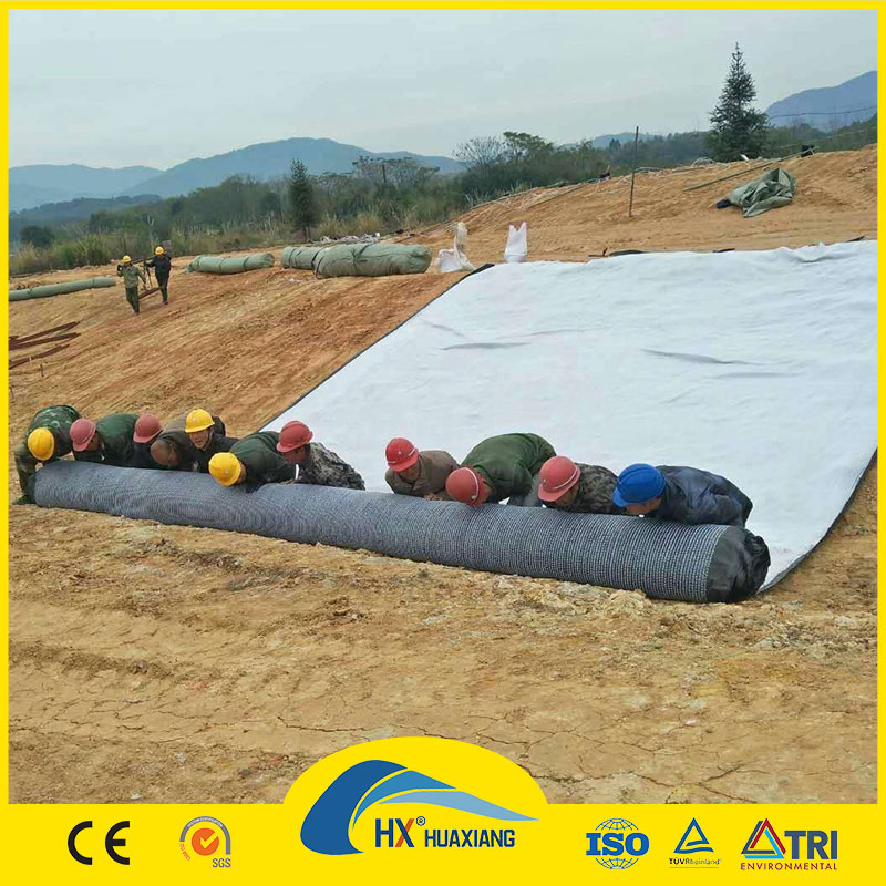 Geosynthetics Clay Liner Gcl Bentonite Geotextile 5000g Per Square Meter for Constructions Aiti-Seepage Project