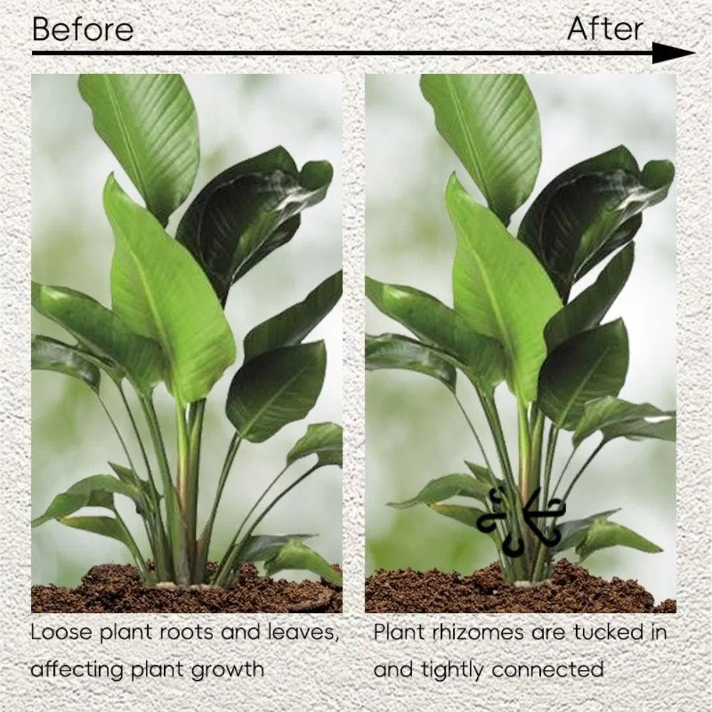 Reusable Plant Stem Folding Frame Garden Tools No Stake Trellis Plant Stem Support Support Branches Stem Organizer