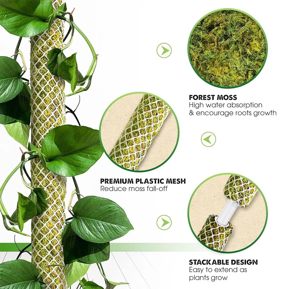 Durable White Plastic Grid Aerial Root Growth Moss Pole Support for Pothos & Tropical Climbing Plants