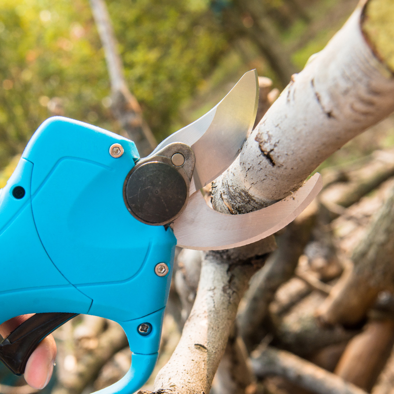 Cordless Pruner Cutter 25mm Electric Pruning Shears 16.8V Electric Cordless Pruning Shears