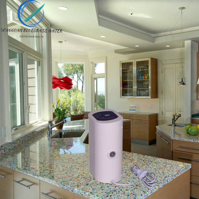 Portable Ozone Machine Generator De Ozono Ozone Air Purifier