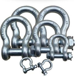 Forged Us Type G209 Bow Shackle with Screw Pin