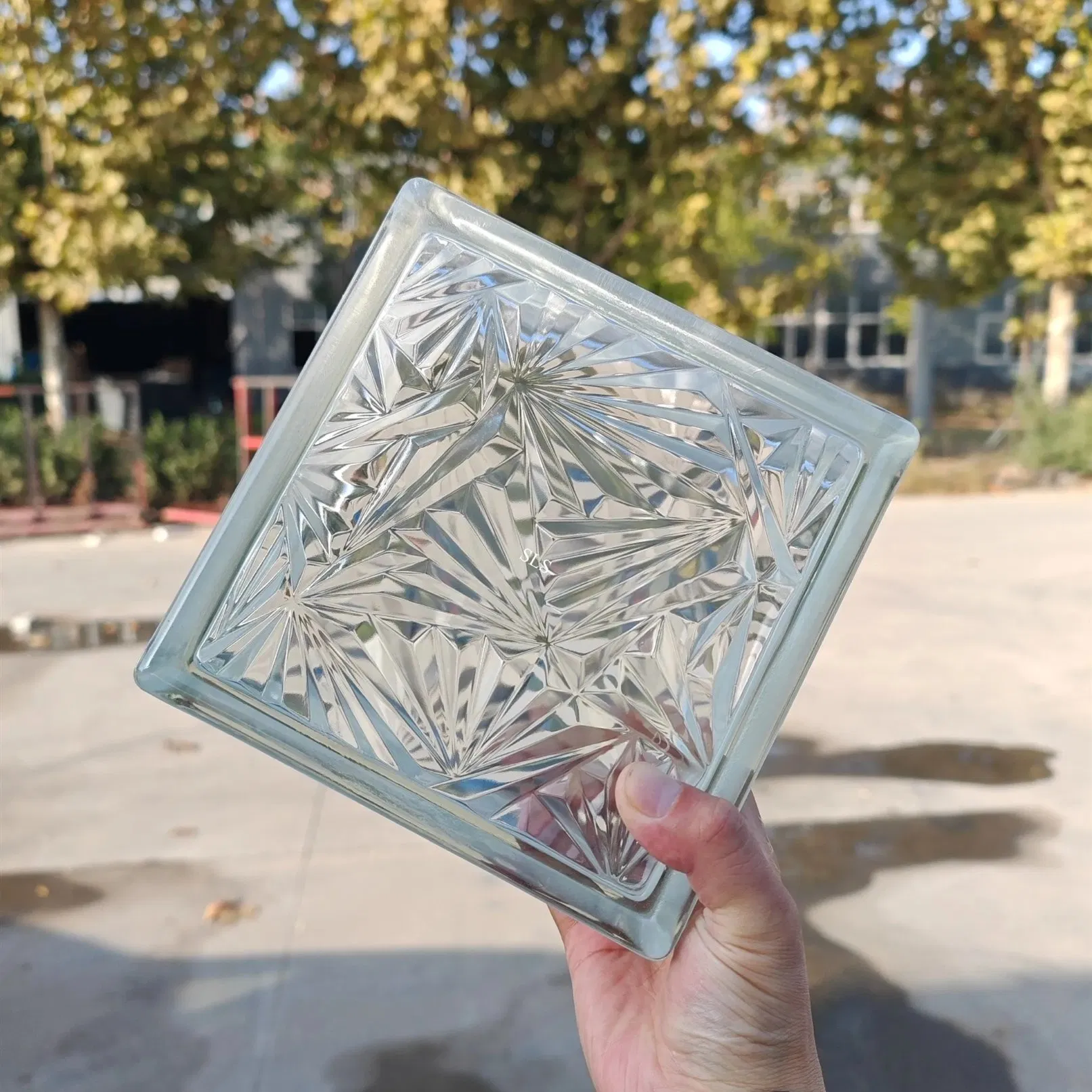 Decorative Glass Block for Glass Partition Wall with Customized Design and Color