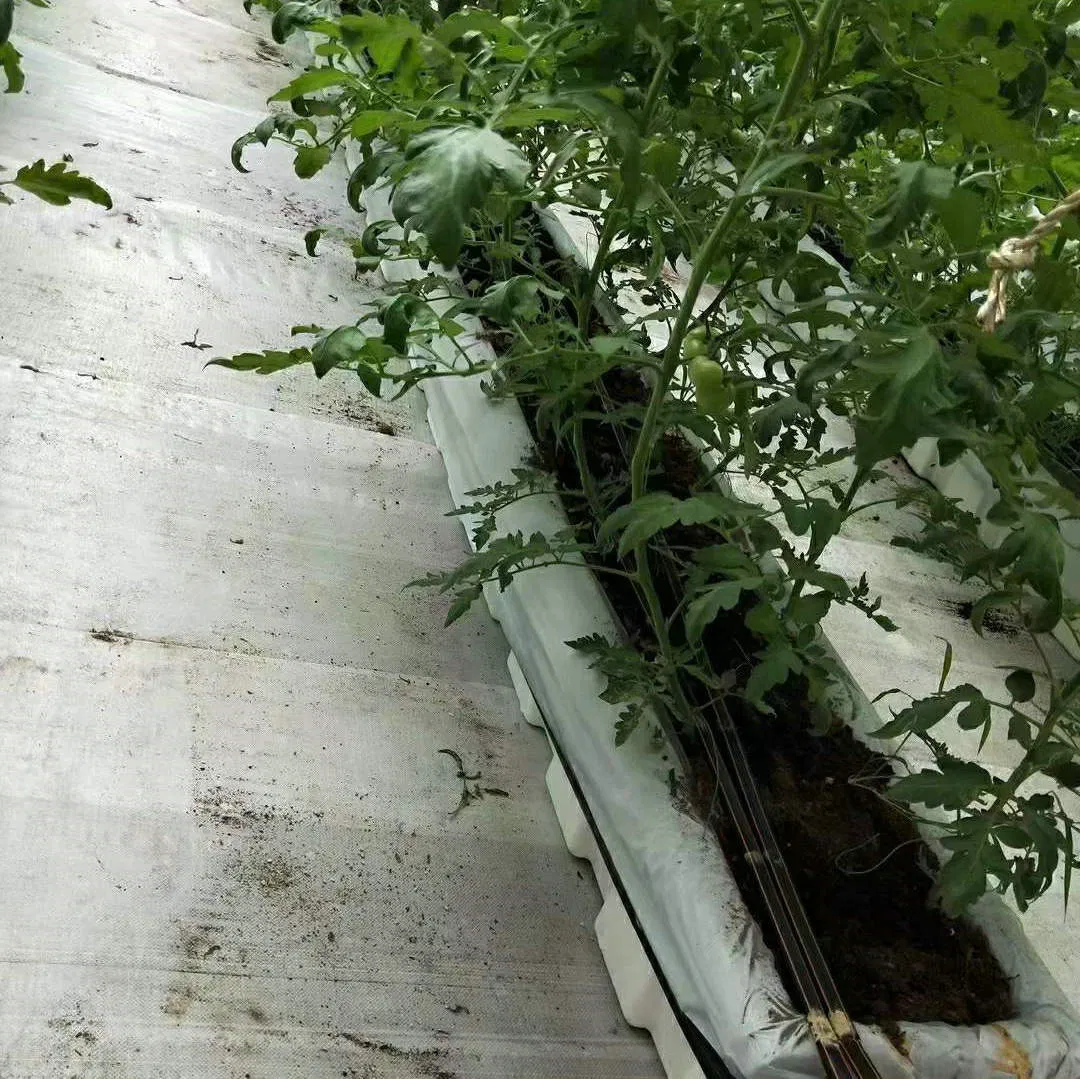 Agricultural Ground Covering PP Woven Weed Barrier Landscape Fabric