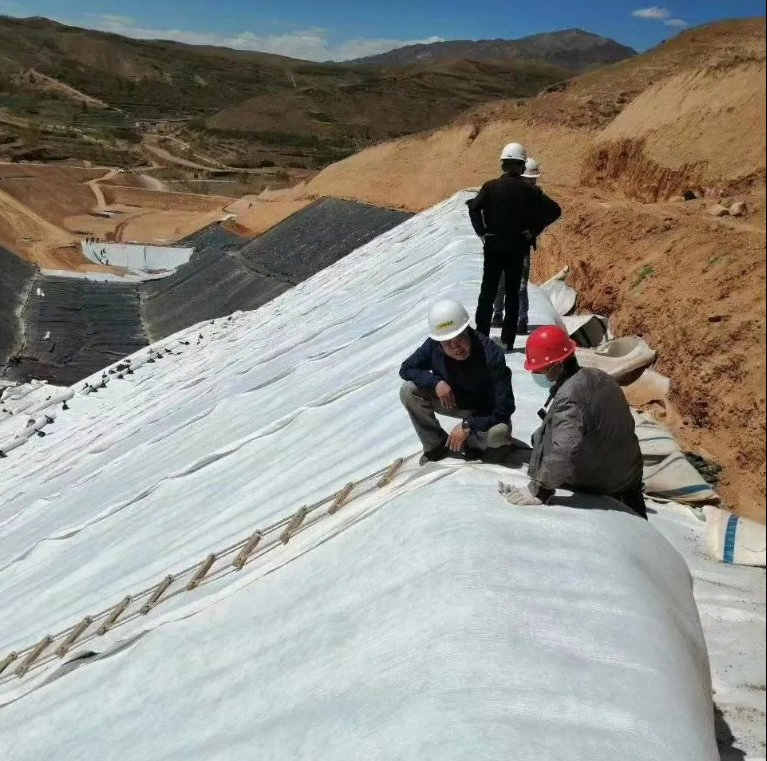 Waterproof Composite Geomembrane with Geotextile Protective Layer