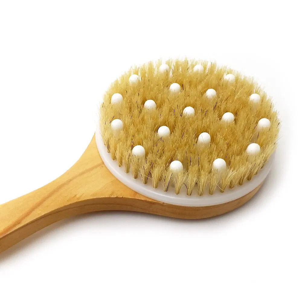 Premium Wooden Long Handle Body Scrubber Dry Bath Brush with Massage Heads for Back Scrubber and Massage