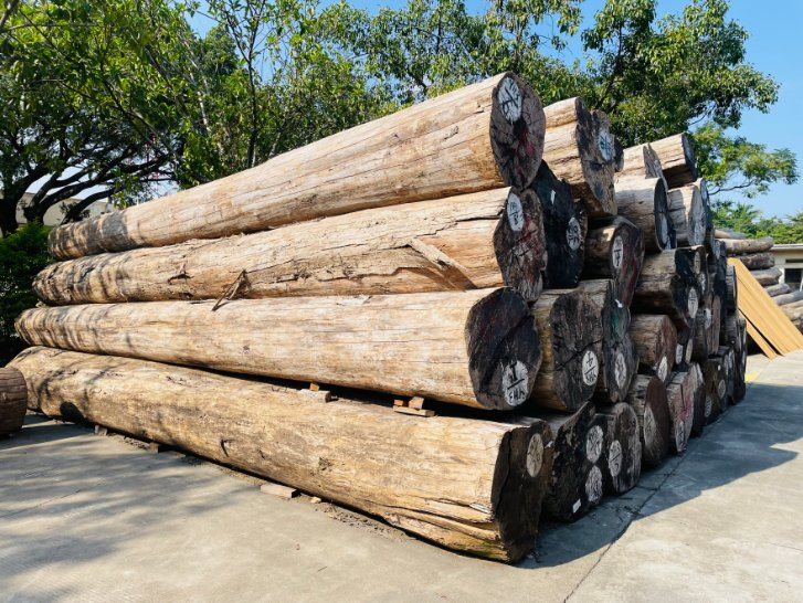 Imported Teak Logs From Myanmar That Are Not Easily Deformed or Cracked