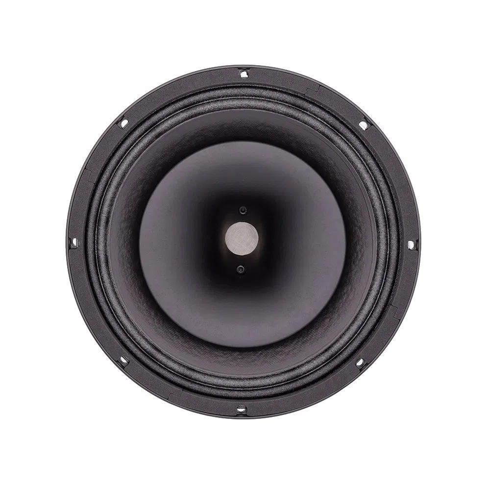 50-20kHz Neodymium Coaxial Speaker Horn Professional Audio Speaker 12 Inch