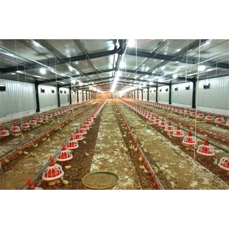 Prefabricated Poultry Farm Shed Commercial Steel Structure Chicken House Design
