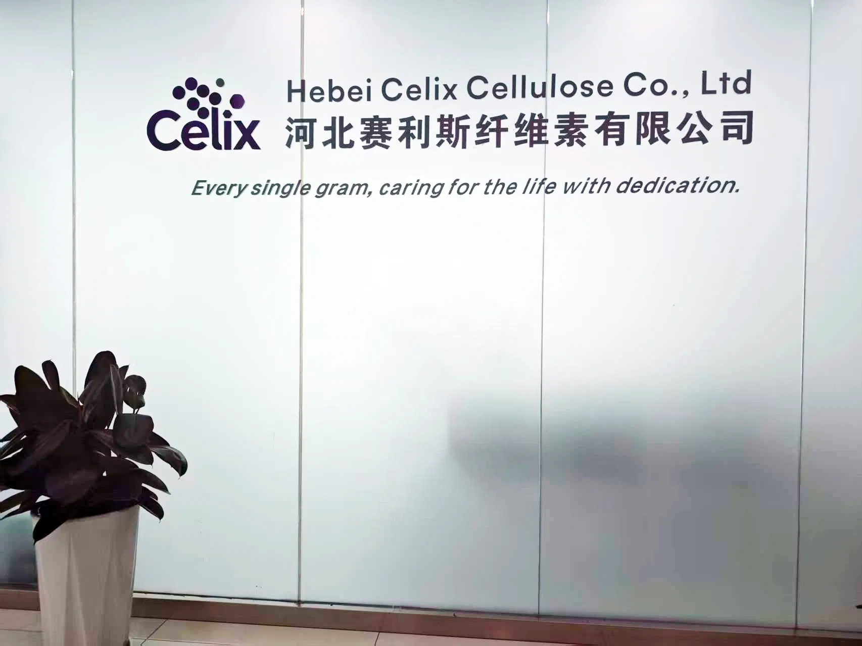 Celix Self-Leveling Compounds Polycarboxylate Superplasticizer PCE-735 Well Improve The Fluidity