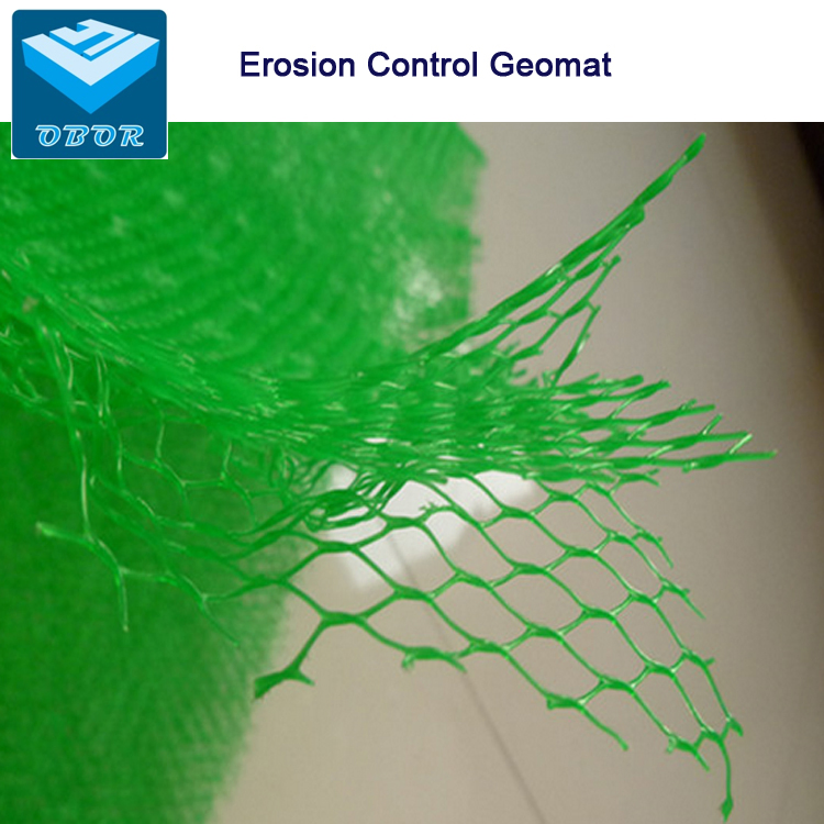 Erosion Control Geomat/Planting Mat/Plastic Mesh/3D Geomat