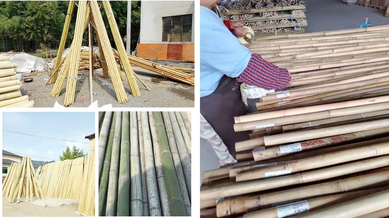 Wholesale Natural The Tree Sticks Bulk Large Bamboo Stake Bamboo Poles